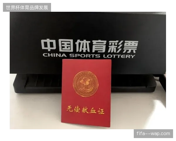 世界杯版权保护协作组确立三级分发合规标准清退违规二级转播代理机构